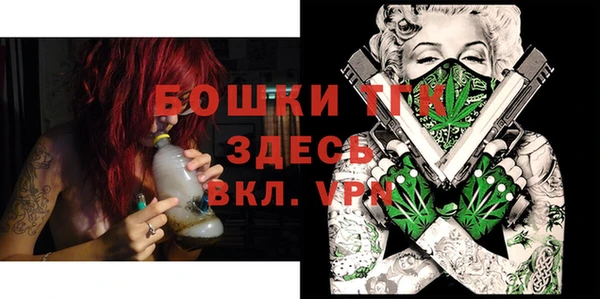 шишки Елизово