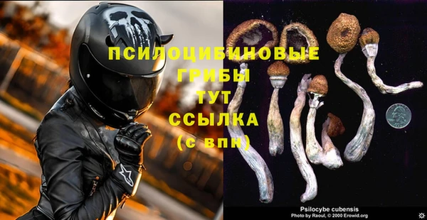 таблы Белокуриха