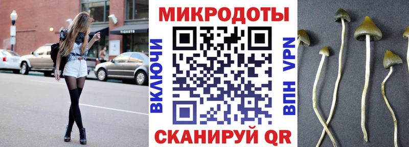 Галлюциногенные грибы Cubensis  Гудермес 